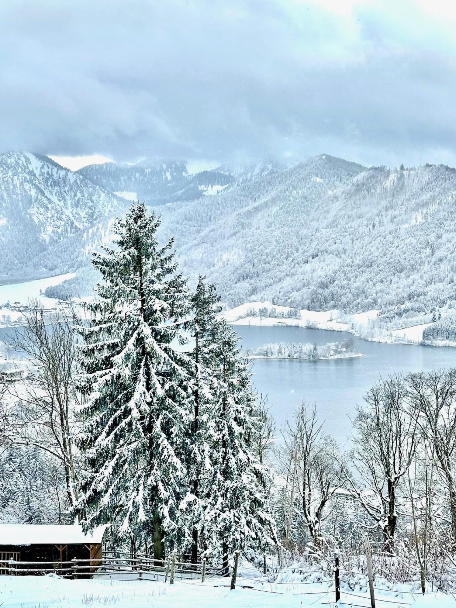 Alpenoase Schliersee - Grosse Suite Mit Sauna Oder Gemuetliche Studio Appartements Bagian luar foto